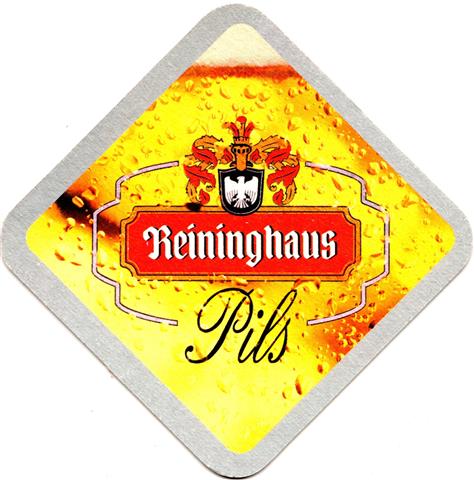 graz st-a reining raute 2a (185-pils) 